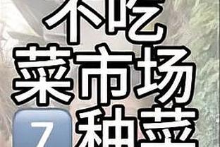 开云app官网网页版截图2